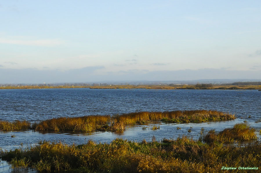 Rezerwat Przyrody Jezioro Drużno
