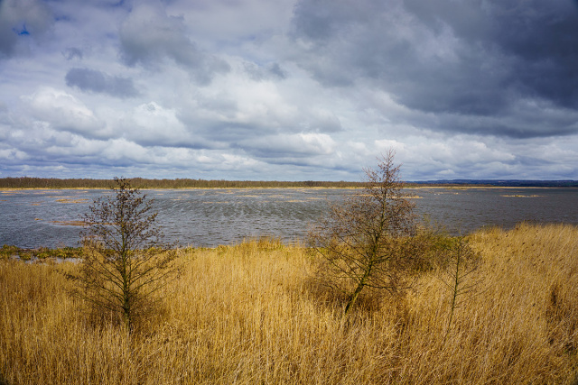 Rezerwat Przyrody Jezioro Drużno